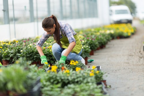 Garden waste sorting and eco-friendly landscaping recycling in Fitzrovia