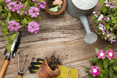 Garden clearance in a Fitzrovia backyard with professionals at work
