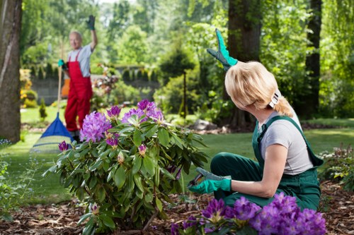A woman wearing gardening gloves is kneeling on the earth in a well-maintained garden, planting or tending to a large shrub with vibrant purple flowers and broad green leaves. The garden features a lush, grassy lawn, mature trees with dense green foliage, and a variety of flowering plants. In the background, another person dressed in red overalls and blue gloves is using a rake or similar garden tool near the edge of the lawn, with additional garden beds and a stone or paved pathway visible. The scene is set on a bright, sunny day with natural light filtering through the trees, highlighting the natural tones of the soil, plants, and wooden borders, reflecting professional gardening and outdoor maintenance activities typical of services offered by Landscapers Fitzrovia in the London area near Fitzrovia. The outdoor space presents a orderly, tranquil landscaped yard suitable for aesthetic gardening and horticultural care.