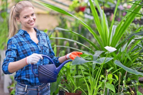 Cookie policy introduction for Landscapers Fitzrovia on a website screen