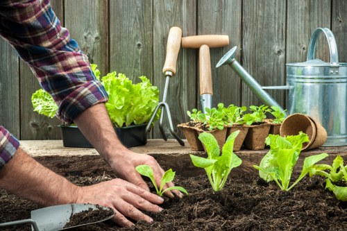 The image shows a gardener planting young lettuce and leafy greens into dark, rich soil within a backyard or garden area. In the background, a weathered wooden fence forms the boundary of the outdoor space, which features a small vegetable bed with a minimal border. Gardening tools, including a trowel, hand rake, and watering can, are arranged on a wooden surface or bench nearby, ready for use. A black plastic container of fresh green lettuce is visible, indicating ongoing vegetable cultivation. The scene is illuminated by natural daylight, suggesting mild weather conditions, and the gardener is wearing a plaid shirt with sleeves rolled up, typical of outdoor gardening activity. The overall composition highlights a well-organized, productive garden space suitable for gardening services such as planting, soil preparation, and vegetable gardening, with a focus on sustainable, small-scale outdoor cultivation consistent with residential landscapes in Fitzrovia or similar areas.