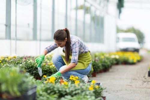 A woman in a garden at a greenhouse or nursery, kneeling on the ground and tending to a row of colorful flowering plants, including yellow and purple blooms. She is wearing a plaid shirt, green gardening gloves, and jeans, focused on carefully planting or pruning the flowers. The garden area features neatly arranged flower beds with dark soil, and appears well-maintained, with a gravel pathway running alongside. In the background, there are blurred glass panels of a greenhouse with some trees and a parked vehicle visible, indicating an outdoor gardening environment possibly located in a suburban or urban setting near Fitzrovia. The scene captures a bright, overcast day, suitable for gardening, highlighting practical outdoor plant care activities that landscapers in Fitzrovia might undertake to maintain local gardens or community spaces.