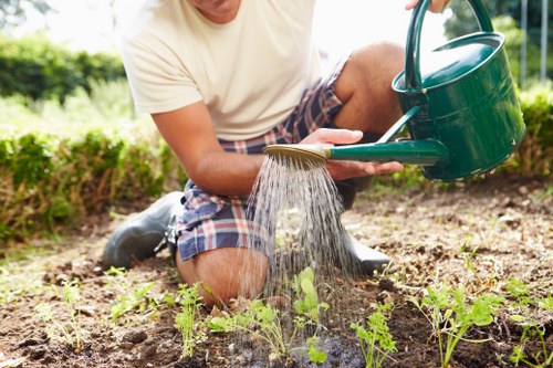 A person kneeling in a garden during daylight, watering young seedlings with a green watering can. The garden features a well-maintained lawn area with dense, green foliage and a variety of small plants growing in neat rows, indicating early-stage planting or vegetable cultivation. The soil appears rich and dark, with visible textures and slight moisture, suggesting recent watering. In the background, there are hedges and trees providing a natural boundary to the outdoor space, typical of a residential garden in Fitzrovia. The scene captures a moment of outdoor gardening activity, emphasizing plant care and nurturing in a landscaped yard, consistent with local gardening services offered by Landscapers Fitzrovia. The weather is clear, contributing to bright lighting and natural colours in the scene, with shades of green and earthy browns predominating.