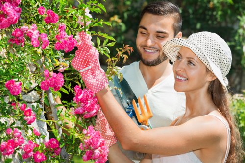 Professional landscapers designing outdoor space