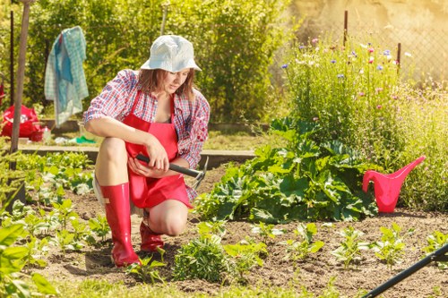 Eco-friendly garden clearance practices in Fitzrovia