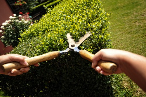 The image depicts two hands holding garden shears with wooden handles, actively trimming a dense, well-maintained hedge in a backyard garden. The hedge features vibrant green foliage and is positioned in front of a lush, green lawn area, with the garden extending into the background. Alongside the hedge, there are flower pots with blooming plants, adding colour to the scene, while a paved pathway or patio is partially visible nearby. The outdoor environment appears bright, with natural sunlight illuminating the garden, indicating clear weather. This scene exemplifies gardening practices typical of professional lawn and hedge care, providing a tidy, landscaped outdoor space. Such maintenance is often performed by local gardening specialists, including companies like Landscapers Fitzrovia, who focus on garden trimming, shaping, and outdoor aesthetics.
