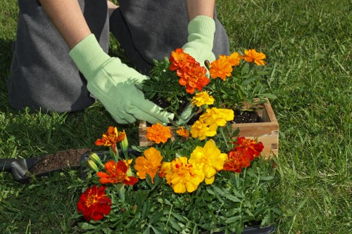 The image shows a gardener's hands wearing light green gloves, carefully planting a variety of colorful flowering plants with orange, yellow, and red blossoms into a small wooden garden bed on a well-maintained grassy lawn. Behind the planting area, there are additional garden elements including a patch of green grass, possibly part of a front or back garden in Fitzrovia, with natural sunlight illuminating the scene. The surface of the soil appears rich and slightly moist, and the flowers are vibrant and healthy, suggesting regular care. The gardener's activity is focused and precise, indicating professional gardening or landscaping work aimed at enhancing outdoor garden aesthetics, common to services offered by companies like Landscapers Fitzrovia. The environment exudes a fresh, outdoor atmosphere with a focus on floral planting and garden beautification, aligning with local gardening and landscaping services in central London.