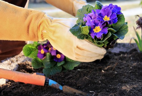 Curb appeal of a property enhanced by Fitzrovia landscaping services