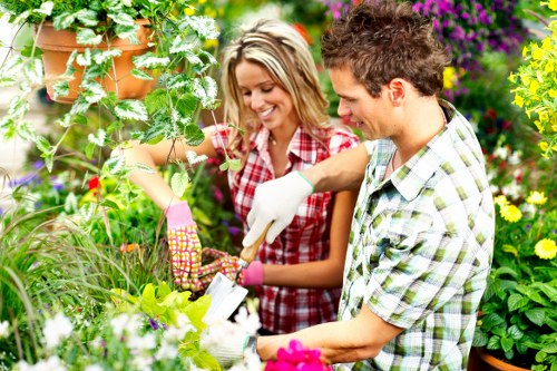 Benefits of professional tree services