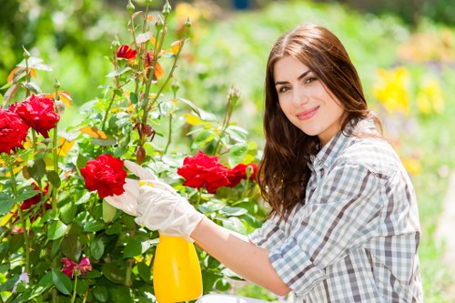 A young woman with long brown hair, dressed in a checkered shirt and wearing white gardening gloves, is gently pruning bright red roses in a well-maintained front garden. The garden features a lush green lawn in the foreground, bordered by a variety of flowering plants and shrubs. Behind her, there are several small bushes and a mix of flowering and leafy plants, with a natural stone pathway or patio area partially visible. The scene is set outdoors on a sunny day, with natural light illuminating the vibrant green foliage and colorful blooms, creating a lively and inviting garden atmosphere typical of residential outdoor spaces in Fitzrovia. The image reflects professional gardening activities, emphasizing lawn care, plant maintenance, and overall garden upkeep often provided by local landscapers like Landscapers Fitzrovia.