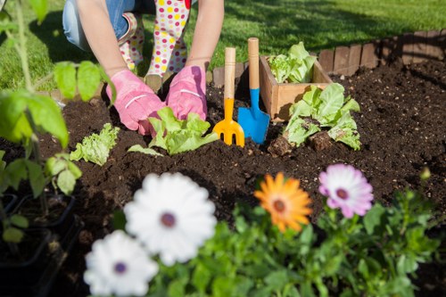 Lawn care professional assessing Fitzrovia garden