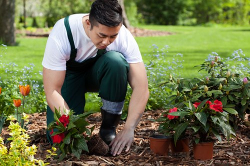 Eco-friendly lawn mowing practices being implemented