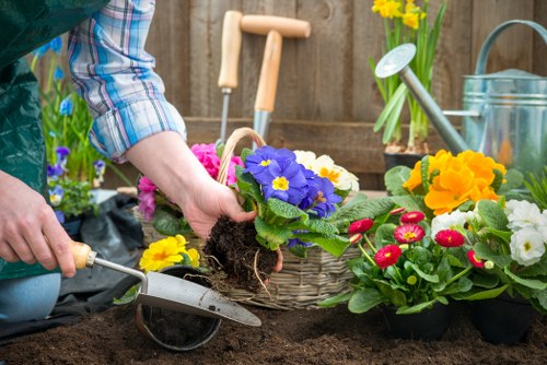 In the image, a gardener's hands are shown planting a vibrant purple-flowered plant into dark, moist soil within a garden bed, surrounded by colourful flowering plants including yellow, red, and white blossoms. The scene takes place in a well-maintained outdoor garden area, with a wooden fence in the background and gardening tools such as a trowel and watering can visible on a nearby wooden surface. The garden area features a mix of flowering borders and soil beds, highlighting typical features of a landscaped outdoor space in Fitzrovia. The lighting suggests daytime with natural sunlight, and the gardener is dressed in a blue plaid shirt, indicating casual outdoor work. This setup demonstrates professional gardening and planting practices, relevant to landscaping services focused on flowerbed preparation and plant health, supported by local knowledge of garden design in the Fitzrovia area.