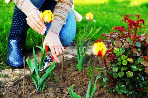 The image shows a person planting yellow tulips with red streaks in a garden bed, which is bordered by a low stone edging. The garden area has rich, dark soil with a cluster of small, vibrant red and green foliage plants nearby. The person, dressed in a multicoloured knitted sweater, blue jeans, and rain boots with white polka dots, is kneeling on a grassy lawn in an outdoor space that appears well-maintained. In the background, there is a lush green lawn and a few small trees, indicating a landscaped backyard or front garden typical of residential properties in Fitzrovia. The scene is outdoors under natural daylight, suggesting fair weather. This setup reflects a gardening service supplied by Landscapers Fitzrovia, focused on flower bed creation and outdoor planting in the local area, with attention to natural textures and plant arrangement for aesthetic appeal.