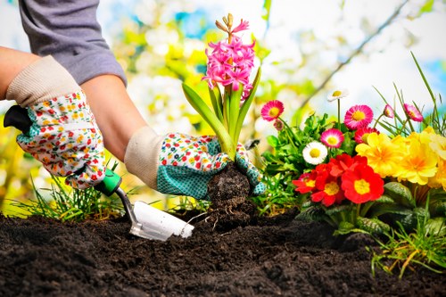 A close-up view of a gardener's hands wearing colorful, patterned gloves, planting a vibrant pink hyacinth bulb into dark, freshly turned soil in a garden bed. Surrounding the planting area are various flowering plants, including bright yellow primroses, white daisies, and red and pink blooms, all situated within a well-maintained outdoor garden space. In the background, there are lush green trees and a clear, sunny sky, indicating pleasant weather. The garden features a mix of flower beds and soil patches, with neatly edged borders and natural tones that enhance the overall landscaped appearance. The scene captures an early spring gardening activity in an urban outdoor environment, consistent with services offered by areas like Fitzrovia, where professional gardening and landscaping companies such as Landscapers Fitzrovia may assist with garden renovation and planting projects.