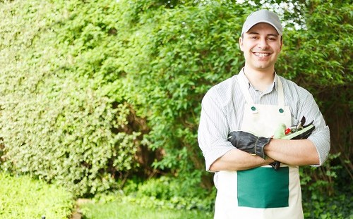 A professional gardener standing in a well-maintained garden in Fitzrovia, surrounded by lush green foliage, including a dense hedge and various shrubs. The garden features a neatly trimmed lawn in the foreground, with vibrant grass displaying a healthy, dense texture. Behind the gardener, there is a backdrop of trees and flowering plants, adding natural colour tones to the scene. The garden surface includes a combination of grass and paved pathways, with a section of wooden decking visible in the background. Overcast weather provides soft, diffuse lighting, highlighting the lushness of the plant life. The gardener, dressed in a grey cap, a white shirt, and an apron with gardening tools, stands confidently, demonstrating professional outdoor maintenance. This setting reflects a landscaped outdoor space in Fitzrovia, suitable for gardening and planting services offered by Landscapers Fitzrovia, and emphasizes the lush, orderly, and natural aesthetics typical of urban garden landscapes in central London.