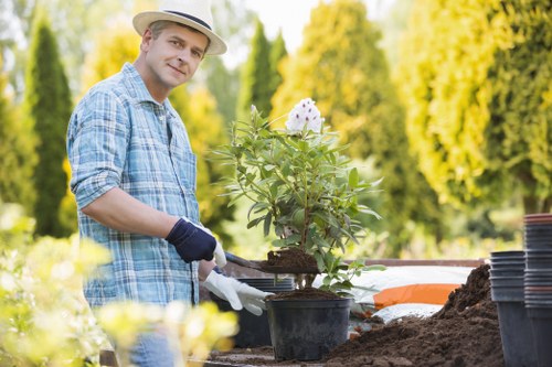 A man wearing a beige straw hat, a blue plaid shirt, and gardening gloves is planting a flowering shrub in a black plastic pot in a well-maintained outdoor garden. The garden features a grassy lawn area in the foreground, with a bordered flower bed and rich dark soil surrounding the plant. In the background, there are tall, lush green trees and foliage under bright, natural daylight, indicating a sunny day. The scene suggests outdoor gardening activities typical of professional landscaping services in Fitzrovia, with attention to plant care and landscape aesthetics. The garden space appears neatly organized, emphasizing the preparation for planting or garden improvement, aligning with the expertise offered by Landscapers Fitzrovia in gardening and outdoor maintenance.