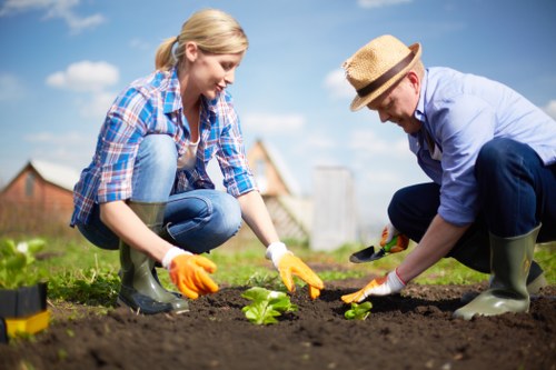 A woman and a man are working together in a well-maintained garden, planting young green seedlings into dark, freshly turned soil. The woman, wearing a blue checkered shirt, jeans, and orange gardening gloves, is kneeling on the grass while carefully positioning a plant. The man, dressed in a light blue shirt, dark pants, rubber boots, and a straw hat, is also kneeling, using his hands to assist in planting. In the background, there is a lush, green lawn bordered by a hedge, with a clear blue sky overhead, indicating a bright, sunny day. The garden features a mix of cultivated flower beds, soil patches for planting, and a neatly kept grassy area, with some garden tools visible for outdoor maintenance. The scene captures a moment of active gardening, highlighting landscape and gardening services, suitable for a landscaping company serving Fitzrovia and surrounding areas.