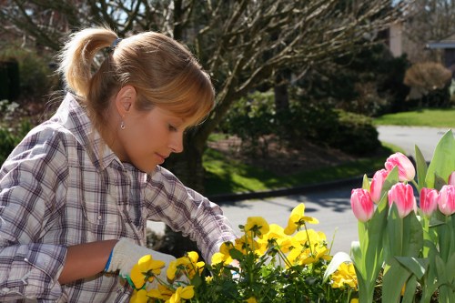 A woman with blonde hair tied back in a ponytail is pictured tending to a garden in a residential outdoor space, which features a variety of plants and flowers. She is wearing a plaid shirt and gardening gloves while carefully planting or pruning yellow and pink flowers, possibly tulips and pansies, in a sunny, well-maintained garden. The foreground includes lush green grass and flower beds bordered with soil, with additional greenery and shrubbery in the background. Mature trees with bare branches suggest early spring or late autumn, and a paved pathway runs through the yard, providing contrast to the natural plantings. The overall scene depicts a peaceful and tidy garden area suitable for landscaping and outdoor maintenance services, with bright natural light illuminating the foliage and enhancing the vibrant colors of the flowers, creating a welcoming and well-kept outdoor environment in Fitzrovia or nearby London neighborhoods.