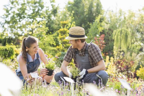 A gardener and a young woman are working together in an outdoor garden space, surrounded by lush greenery and colorful flowering plants. The gardener, wearing a checked shirt, gardening apron, gloves, and a straw hat, is kneeling on a paved patio area and holding a small plant pot. The young woman, dressed in a sleeveless top and denim overalls, is also kneeling and smiling as she holds a potted plant, engaging in planting or garden maintenance. The garden features a well-maintained lawn with dense, vibrant trees in the background, including a hedge and tall flowering shrubs, suggesting a cultivated and landscaped outdoor area typical of residential gardens in Fitzrovia. Sunlight filters through the trees, indicating a bright and pleasant day, which aligns with outdoor gardening services like planting, pruning, and landscape enhancement offered by companies such as Landscapers Fitzrovia. The scene captures the natural textures of the garden’s foliage, the gravel and paving surfaces, and the fresh, lively hues of the flowers, providing a detailed, visually accurate representation of a professional gardening activity in a well-kept urban garden environment in London.